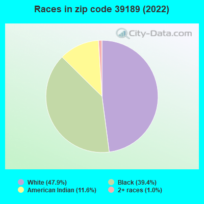 Races in zip code 39189 (2022)