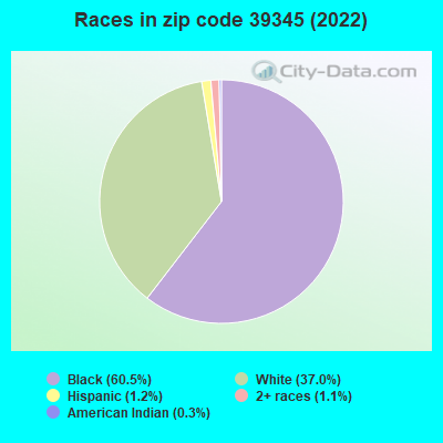 Races in zip code 39345 (2022)