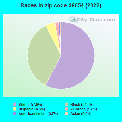 Races in zip code 39654 (2022)