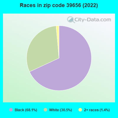 Races in zip code 39656 (2022)