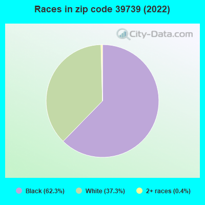 Races in zip code 39739 (2022)