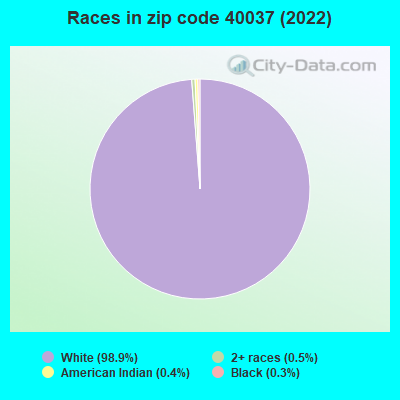 Races in zip code 40037 (2022)