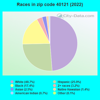 Races in zip code 40121 (2022)