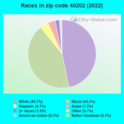 Races in zip code 40202 (2022)