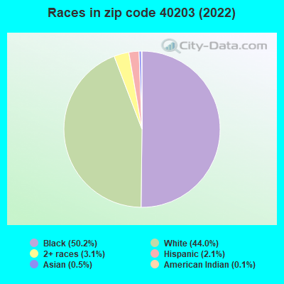 Races in zip code 40203 (2022)