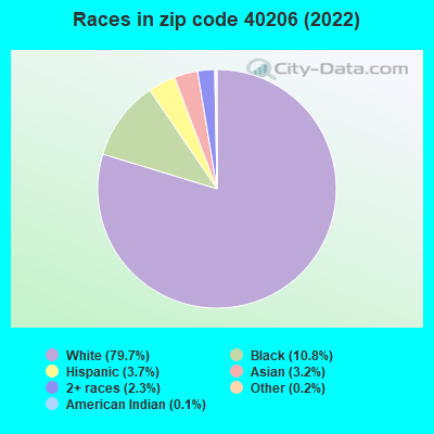 Races in zip code 40206 (2022)
