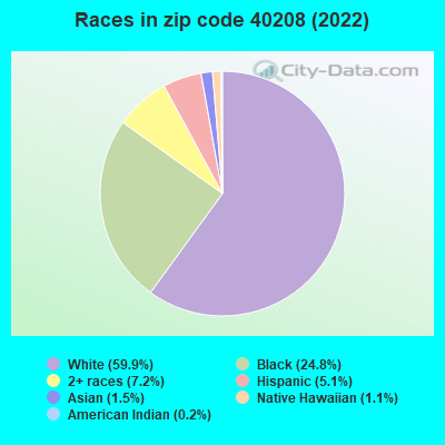 Races in zip code 40208 (2022)