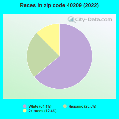 Races in zip code 40209 (2022)