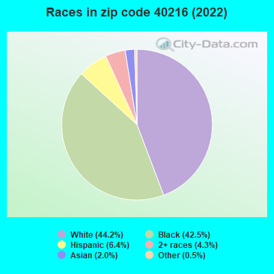 Races in zip code 40216 (2022)