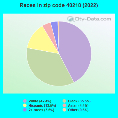 Races in zip code 40218 (2022)