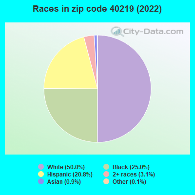 Races in zip code 40219 (2022)