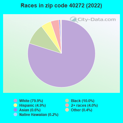 Races in zip code 40272 (2022)