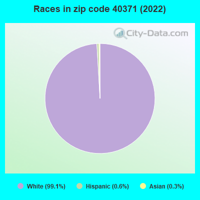 Races in zip code 40371 (2022)