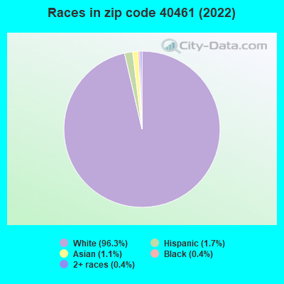 Races in zip code 40461 (2022)