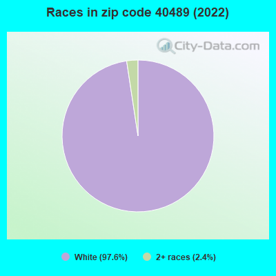 Races in zip code 40489 (2022)