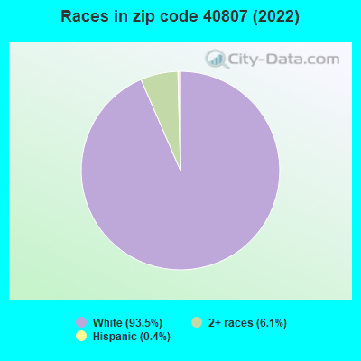 Races in zip code 40807 (2022)