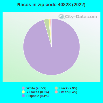 Races in zip code 40828 (2022)