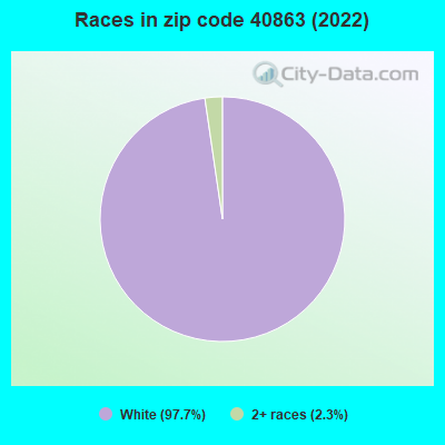 Races in zip code 40863 (2022)