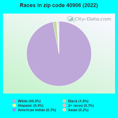 Races in zip code 40906 (2022)