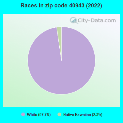 Races in zip code 40943 (2022)