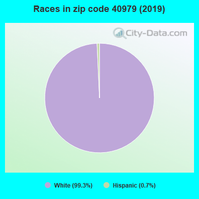 Races in zip code 40979 (2019)