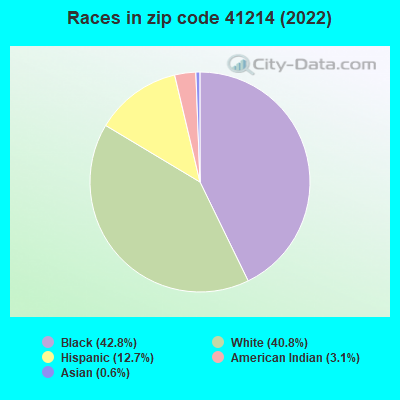 Races in zip code 41214 (2022)
