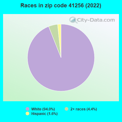 Races in zip code 41256 (2022)