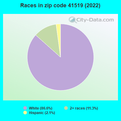 Races in zip code 41519 (2022)