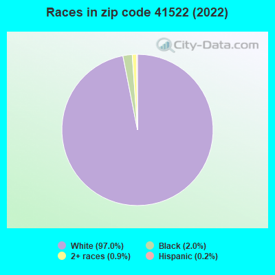 Races in zip code 41522 (2022)