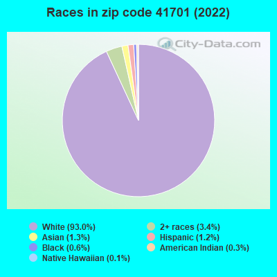 Races in zip code 41701 (2022)