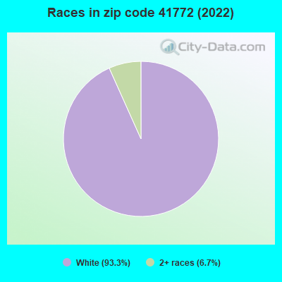 Races in zip code 41772 (2022)