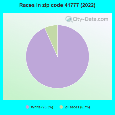 Races in zip code 41777 (2022)