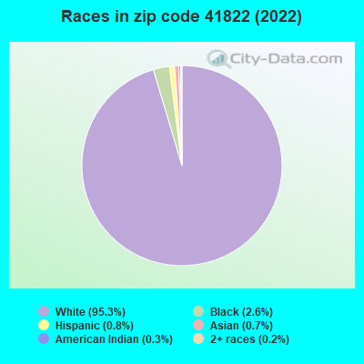 Races in zip code 41822 (2022)