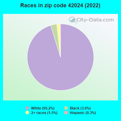 Races in zip code 42024 (2022)