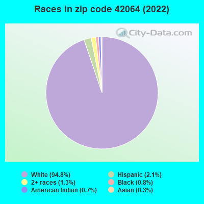 Races in zip code 42064 (2022)