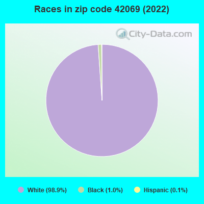 Races in zip code 42069 (2022)