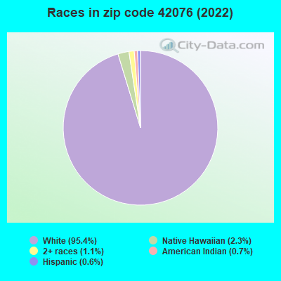 Races in zip code 42076 (2022)