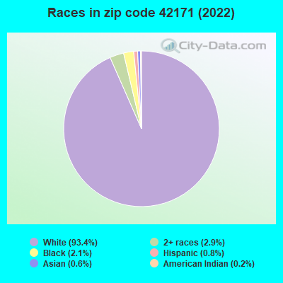 Races in zip code 42171 (2022)