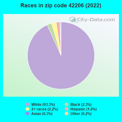 Races in zip code 42206 (2022)