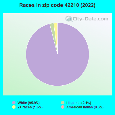 Races in zip code 42210 (2022)