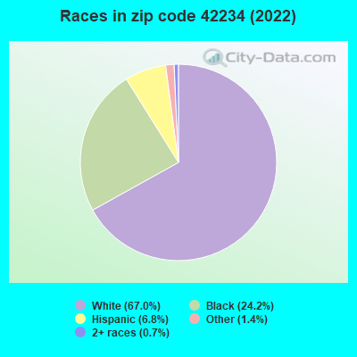 Races in zip code 42234 (2022)