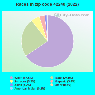 Races in zip code 42240 (2022)