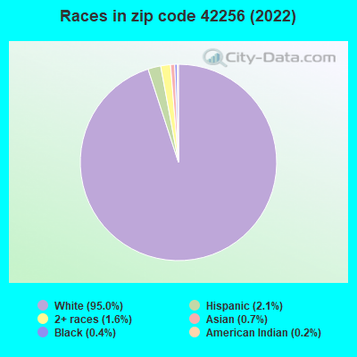 Races in zip code 42256 (2022)