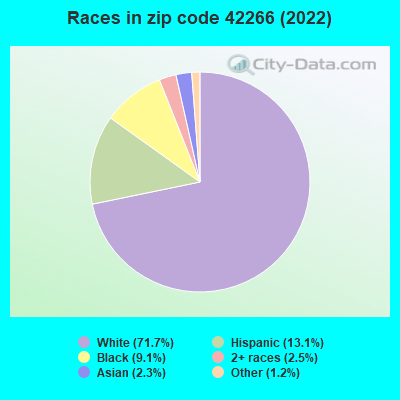 Races in zip code 42266 (2022)