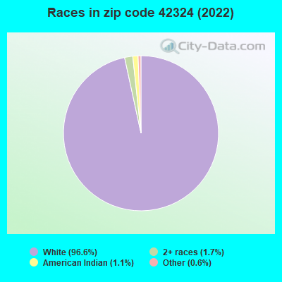 Races in zip code 42324 (2022)