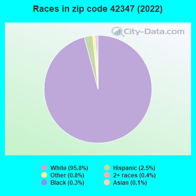Races in zip code 42347 (2022)