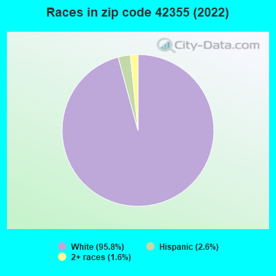 Races in zip code 42355 (2022)