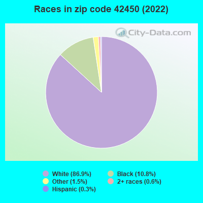 Races in zip code 42450 (2022)