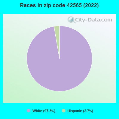 Races in zip code 42565 (2022)