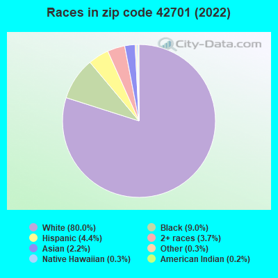 Races in zip code 42701 (2022)
